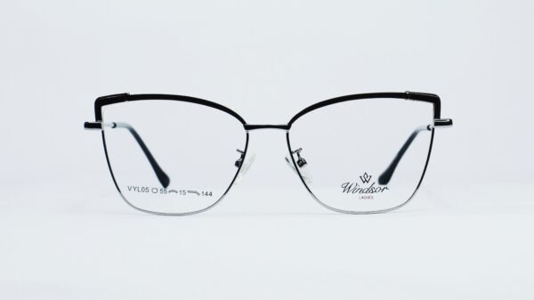 Metal Glasses