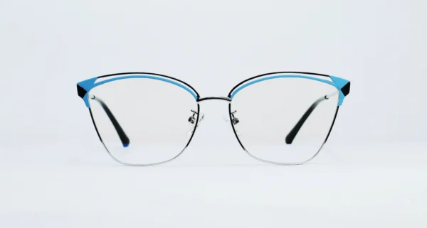 Metal Glasses