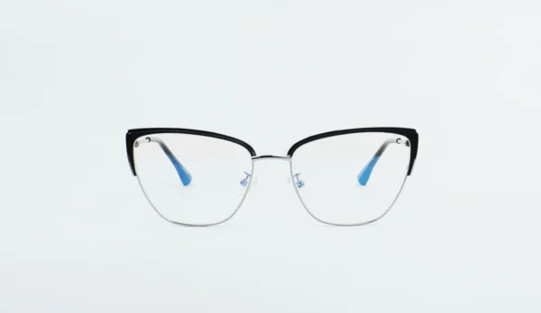 Metal Glasses