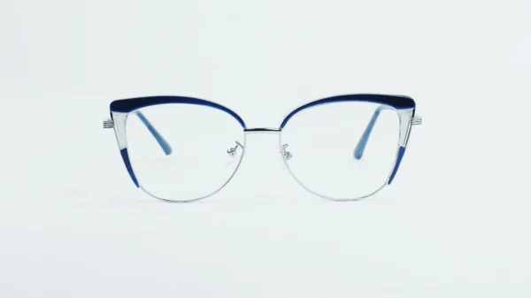 Metal Glasses