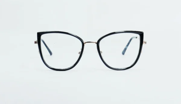 Metal Glasses