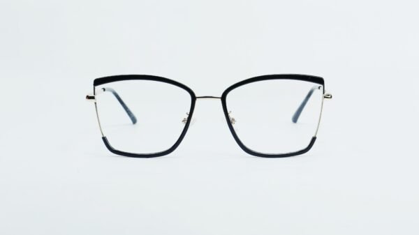 Metal Glasses