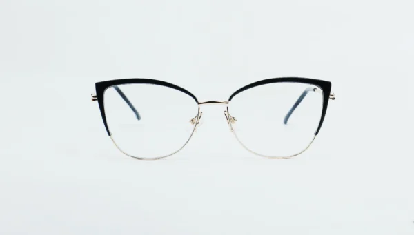 Metal Glasses