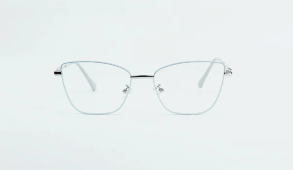 Metal Glasses