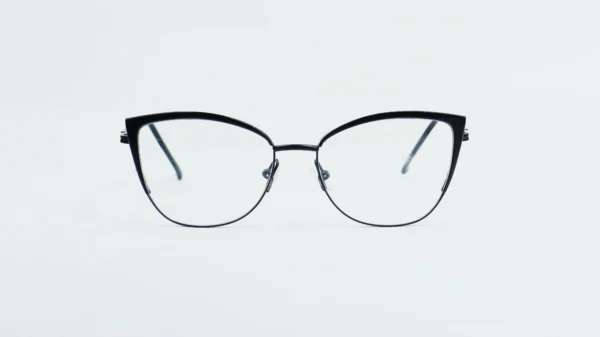 Metal Glasses