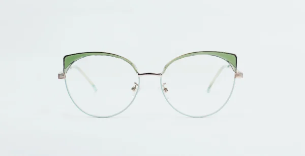 Metal Glasses